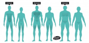 anatomie-morphotype-corps-physique-de-rêve--1024x495